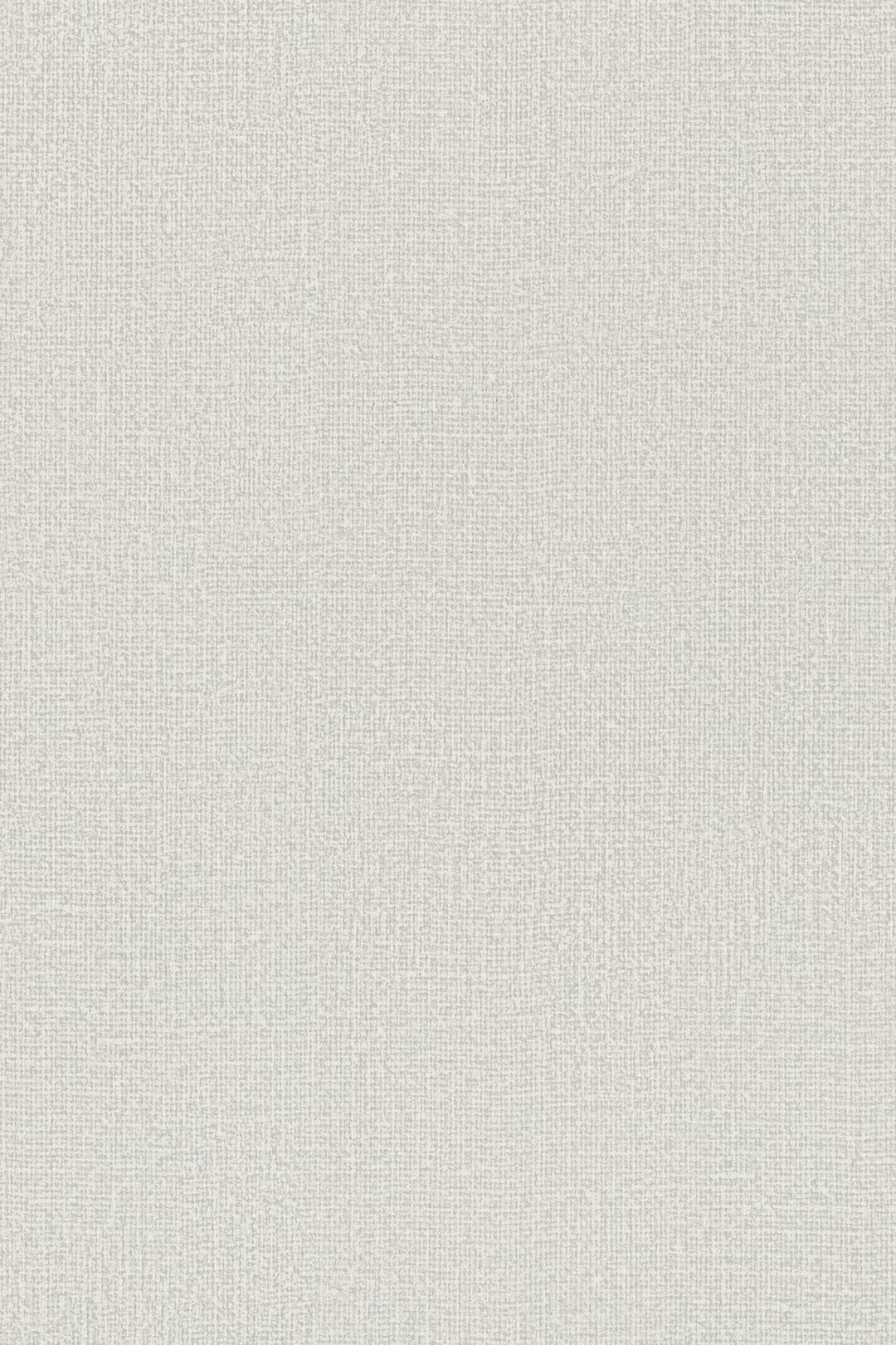 HookedOnWalls Passe Partout 2025 Tone on Tone Tone on Tone behang 4497Afbeelding 3