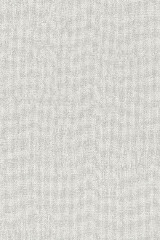 HookedOnWalls Passe Partout 2025 Tone on Tone Tone on Tone behang 4497Afbeelding 3