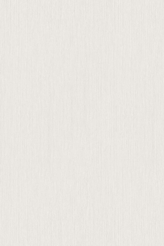 HookedOnWalls Passe Partout 2025 Tone on Tone Tone on Tone behang 4498Afbeelding 3