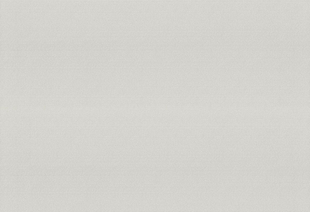 HookedOnWalls Passe Partout 2025 Tone on Tone Tone on Tone behang 4503Afbeelding 1