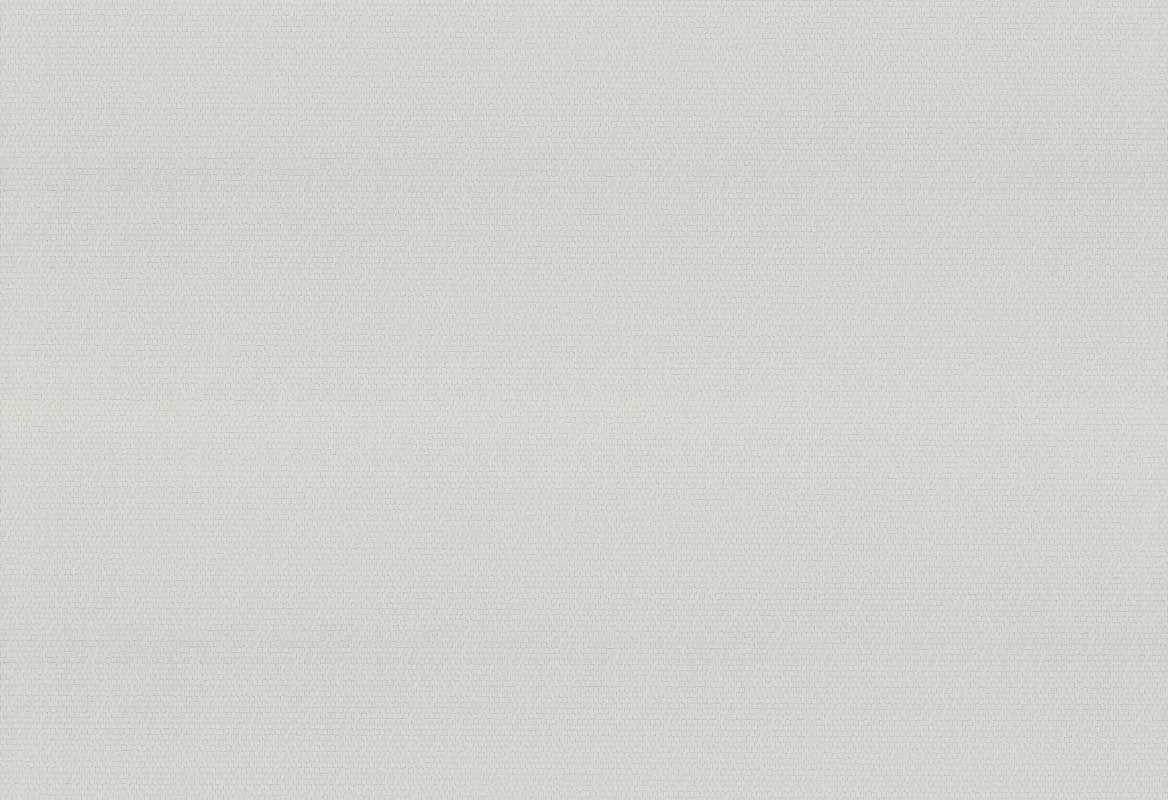 HookedOnWalls Passe Partout 2025 Tone on Tone Tone on Tone behang 4503Afbeelding 1