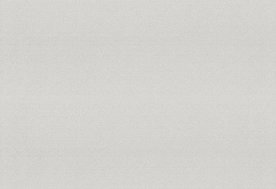HookedOnWalls Passe Partout 2025 Tone on Tone Tone on Tone behang 4503Afbeelding 1