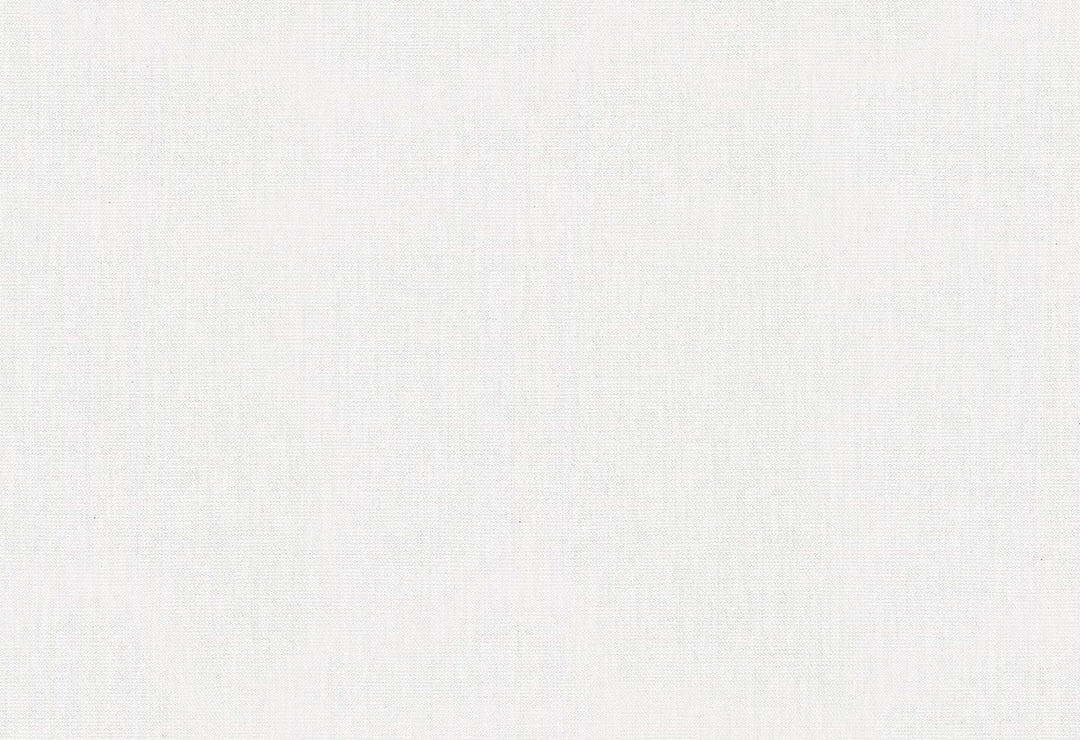 HookedOnWalls Passe Partout 2025 Tone on Tone Tone on Tone behang 4508Afbeelding 1