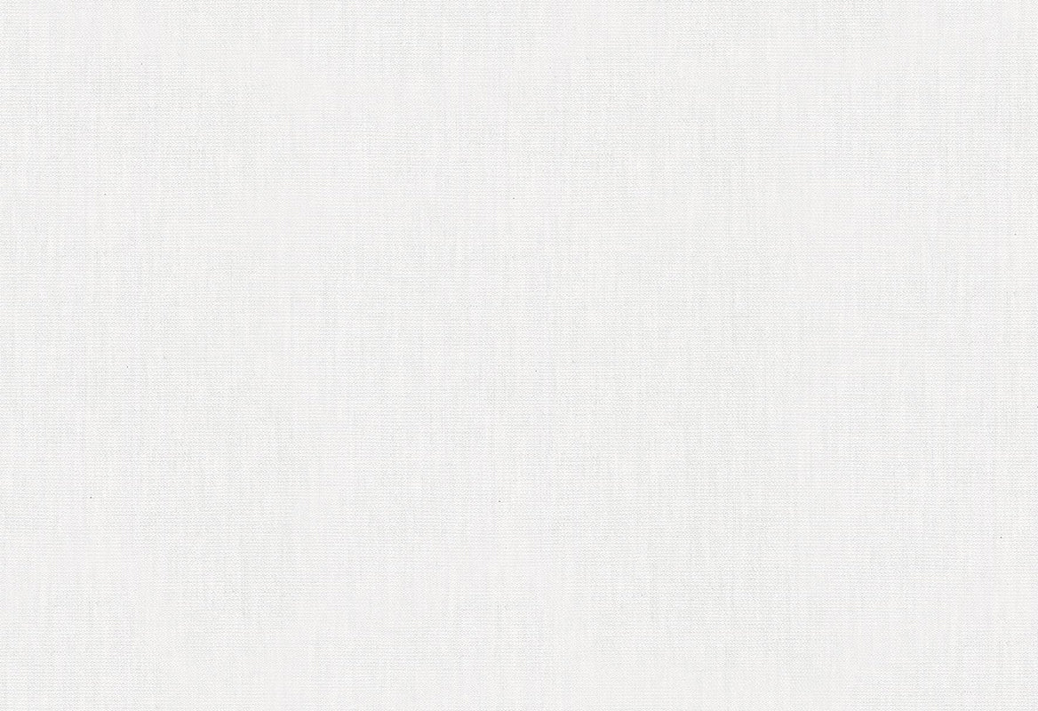 HookedOnWalls Passe Partout 2025 Tone on Tone Tone on Tone behang 4508Afbeelding 1