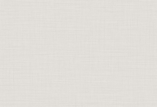 HookedOnWalls Passe Partout 2025 Tone on Tone Tone on Tone behang 4502Afbeelding 1