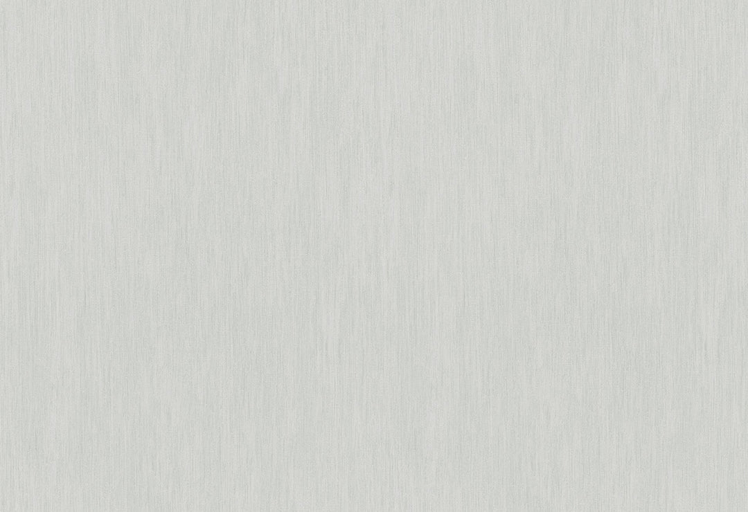 HookedOnWalls Passe Partout 2025 Tone on Tone Tone on Tone behang 4505Afbeelding 1