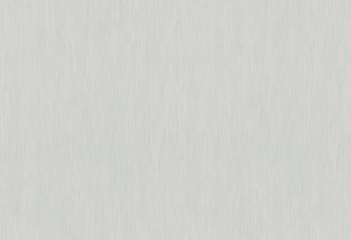 HookedOnWalls Passe Partout 2025 Tone on Tone Tone on Tone behang 4505Afbeelding 1