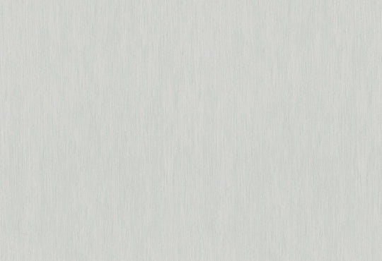 HookedOnWalls Passe Partout 2025 Tone on Tone Tone on Tone behang 4505Afbeelding 1