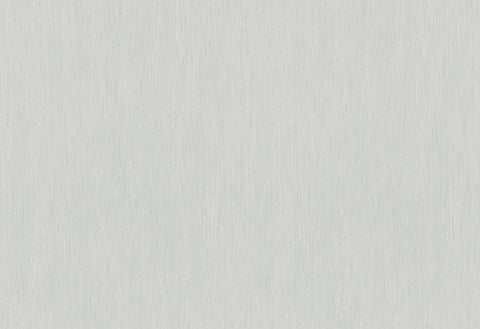 HookedOnWalls Passe Partout 2025 Tone on Tone Tone on Tone behang 4505Afbeelding 1