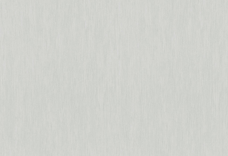 HookedOnWalls Passe Partout 2025 Tone on Tone Tone on Tone behang 4505Afbeelding 1