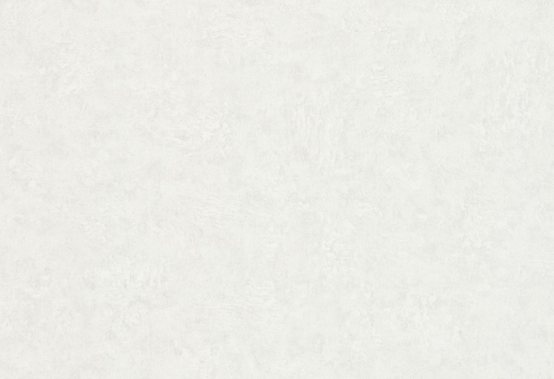 HookedOnWalls Passe Partout 2025 Tone on Tone Tone on Tone behang 4507Afbeelding 1
