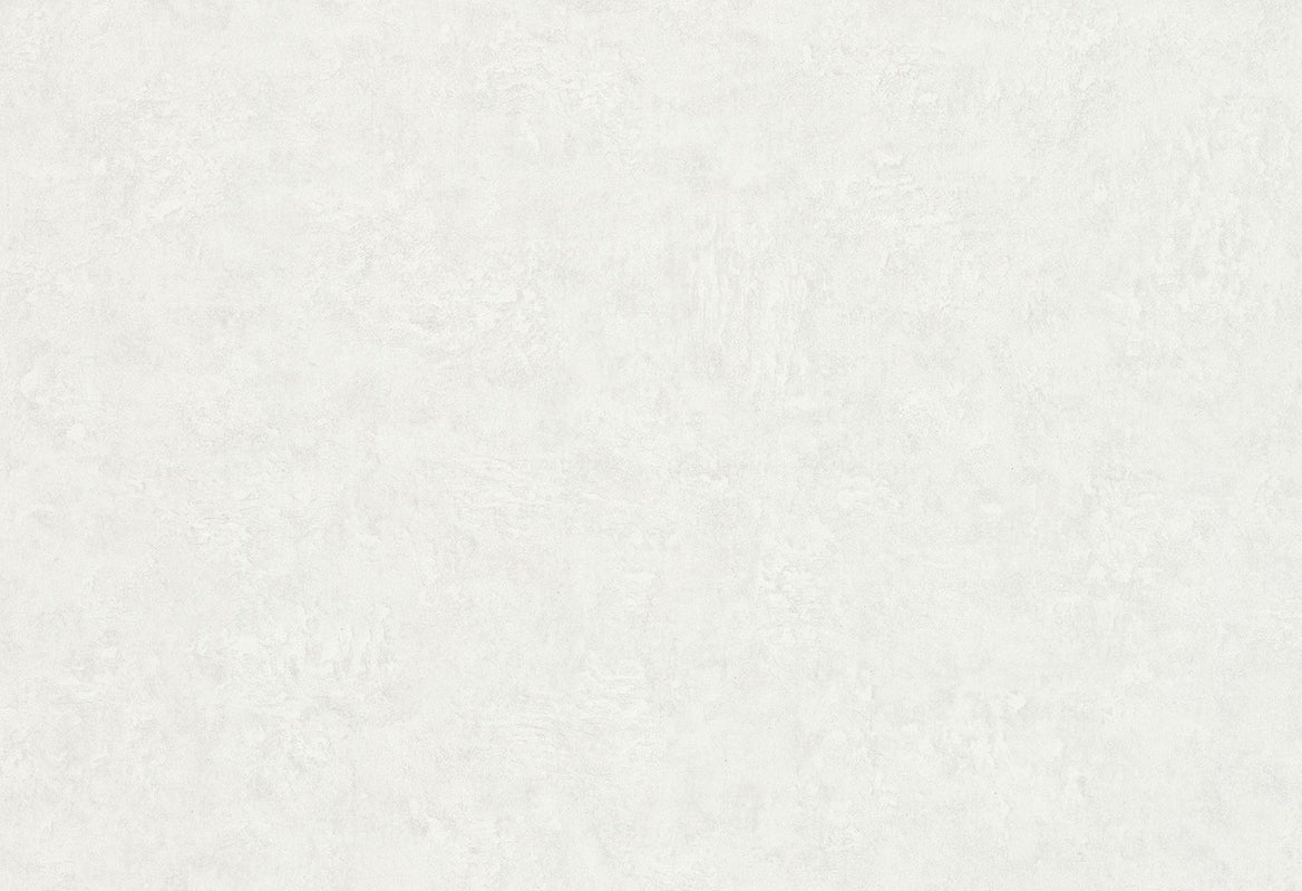 HookedOnWalls Passe Partout 2025 Tone on Tone Tone on Tone behang 4507Afbeelding 1