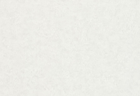 HookedOnWalls Passe Partout 2025 Tone on Tone Tone on Tone behang 4507Afbeelding 1