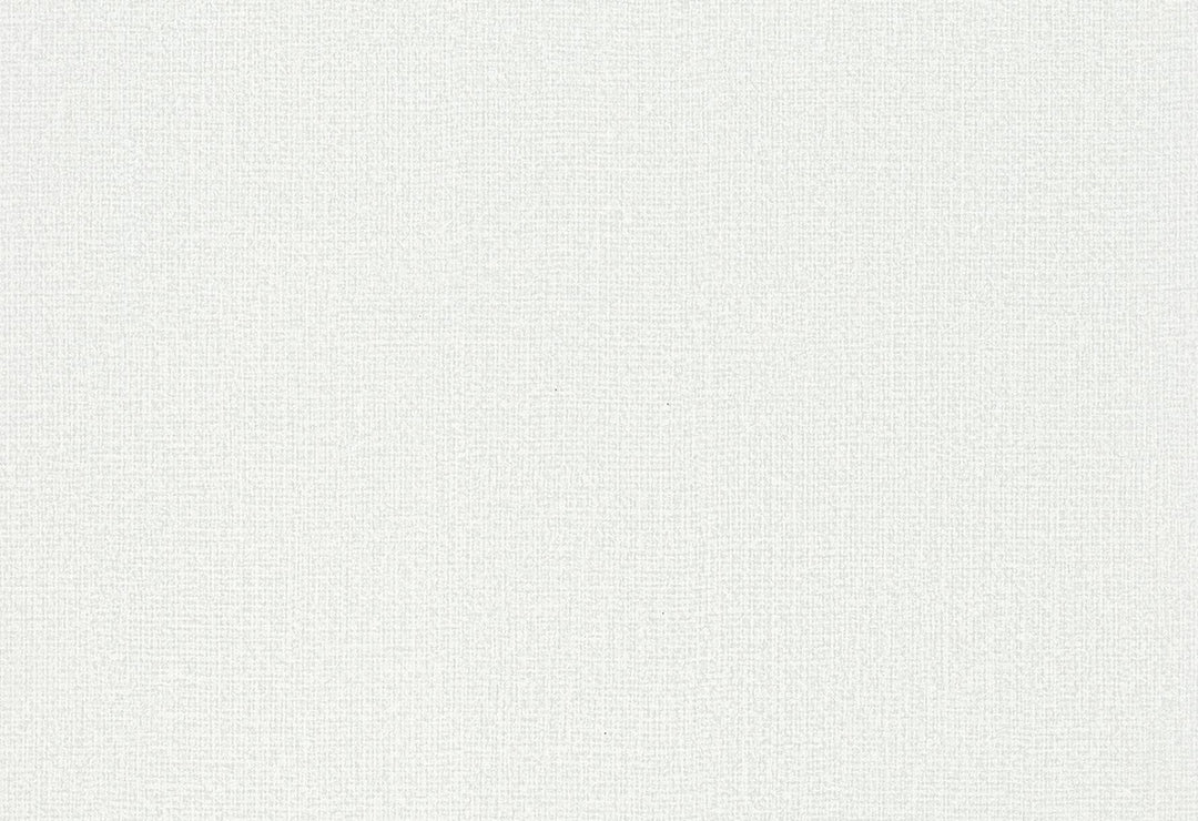 HookedOnWalls Passe Partout 2025 Tone on Tone Tone on Tone behang 4509Afbeelding 1