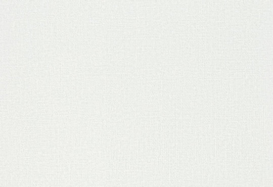 HookedOnWalls Passe Partout 2025 Tone on Tone Tone on Tone behang 4509Afbeelding 1