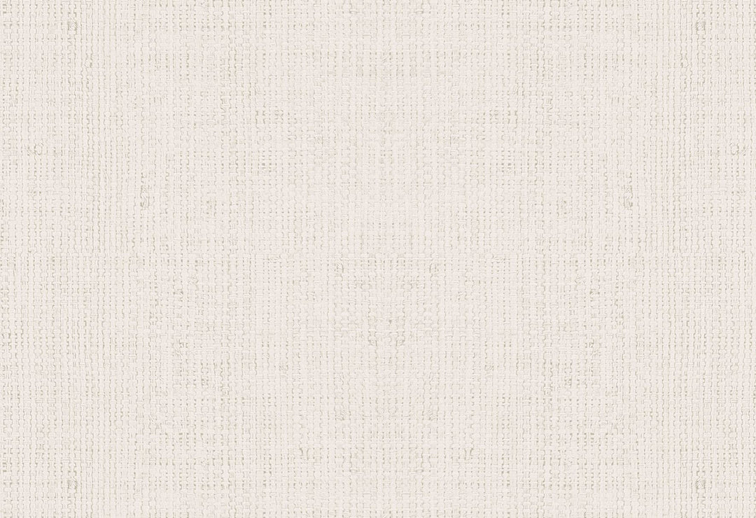 HookedOnWalls Passe Partout 2025 Tone on Tone Tone on Tone behang 4500Afbeelding 1