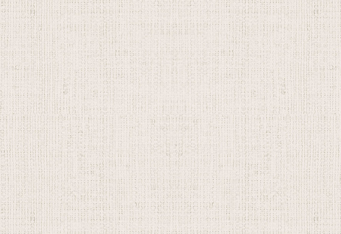 HookedOnWalls Passe Partout 2025 Tone on Tone Tone on Tone behang 4500Afbeelding 1