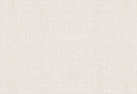 HookedOnWalls Passe Partout 2025 Tone on Tone Tone on Tone behang 4500Afbeelding 1