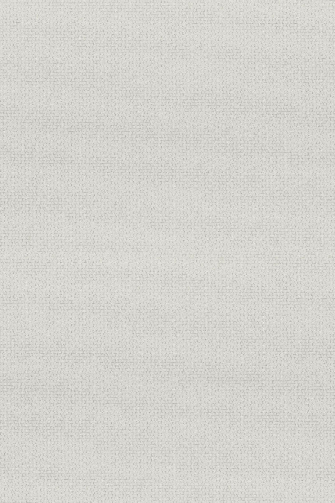 HookedOnWalls Passe Partout 2025 Tone on Tone Tone on Tone behang 4503Afbeelding 3
