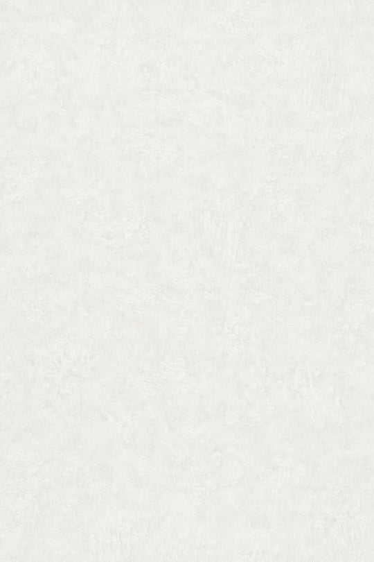 HookedOnWalls Passe Partout 2025 Tone on Tone Tone on Tone behang 4507Afbeelding 3
