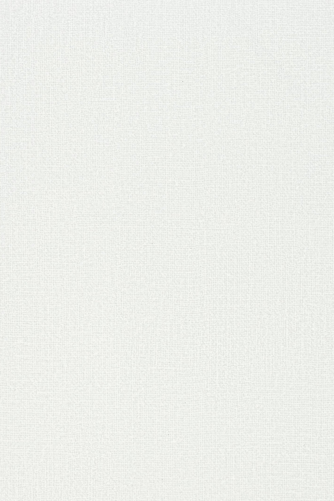 HookedOnWalls Passe Partout 2025 Tone on Tone Tone on Tone behang 4509Afbeelding 3