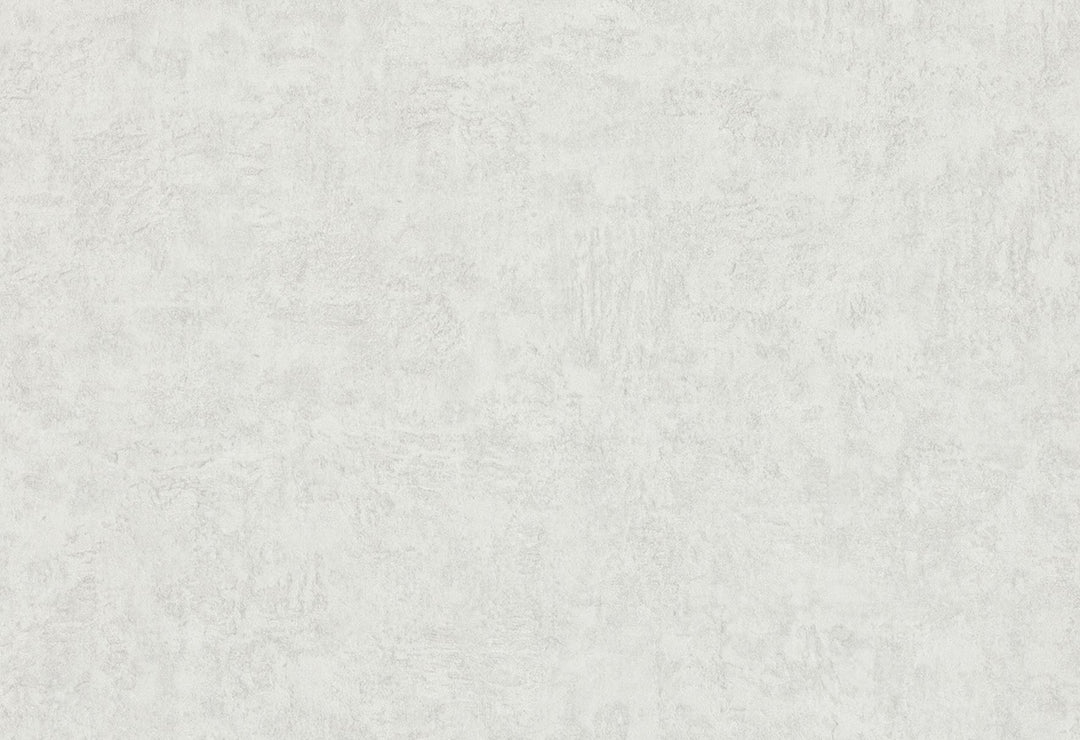 HookedOnWalls Passe Partout 2025 Tone on Tone Tone on Tone behang 4515Afbeelding 1