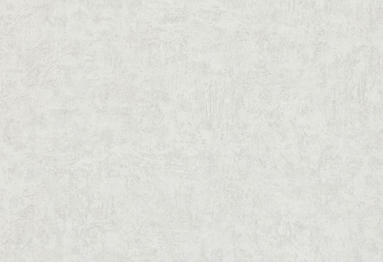 HookedOnWalls Passe Partout 2025 Tone on Tone Tone on Tone behang 4515Afbeelding 1