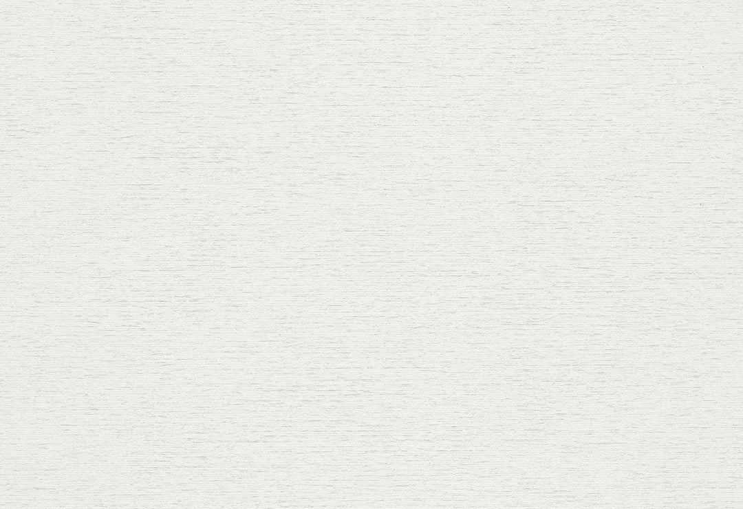 HookedOnWalls Passe Partout 2025 Tone on Tone Tone on Tone behang 4511Afbeelding 1