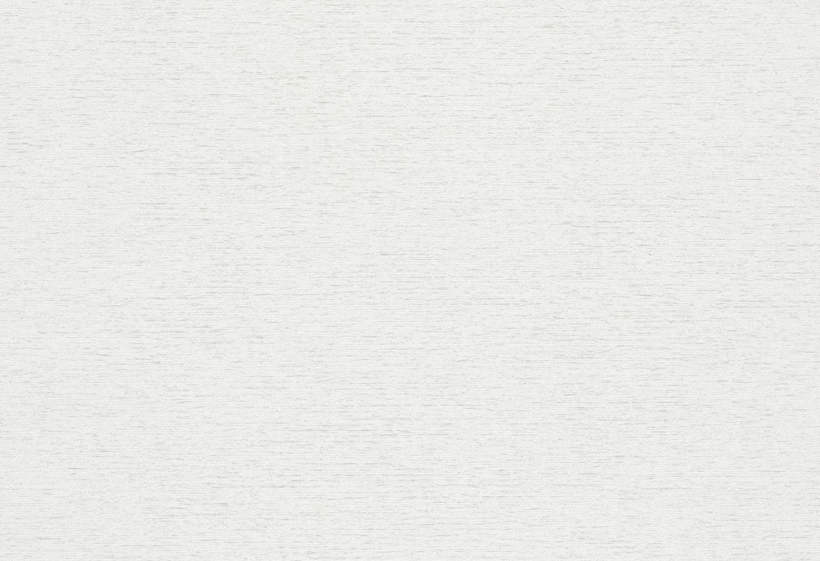 HookedOnWalls Passe Partout 2025 Tone on Tone Tone on Tone behang 4511Afbeelding 1