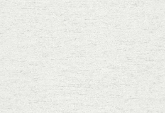 HookedOnWalls Passe Partout 2025 Tone on Tone Tone on Tone behang 4511Afbeelding 1