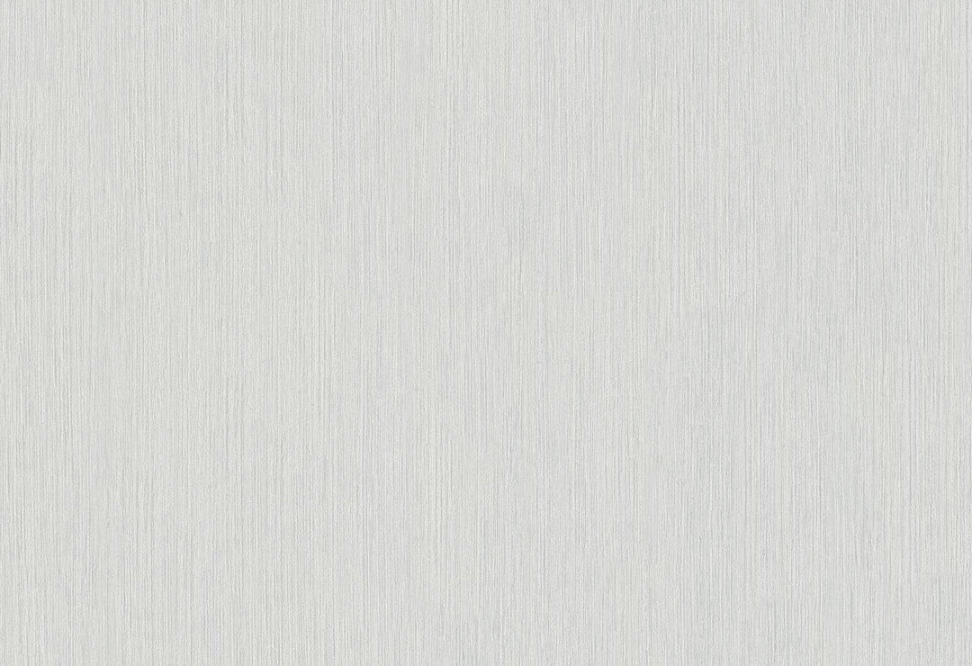HookedOnWalls Passe Partout 2025 Tone on Tone Tone on Tone behang 4517Afbeelding 1