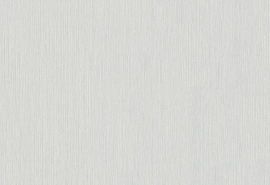 HookedOnWalls Passe Partout 2025 Tone on Tone Tone on Tone behang 4517Afbeelding 1