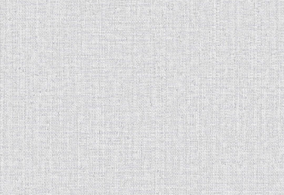 HookedOnWalls Passe Partout 2025 Tone on Tone Tone on Tone behang 4513Afbeelding 1
