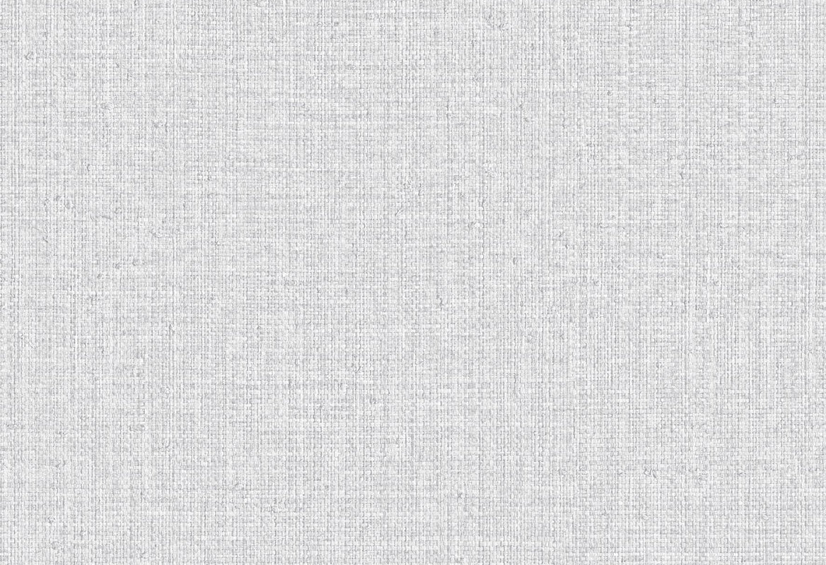HookedOnWalls Passe Partout 2025 Tone on Tone Tone on Tone behang 4513Afbeelding 1