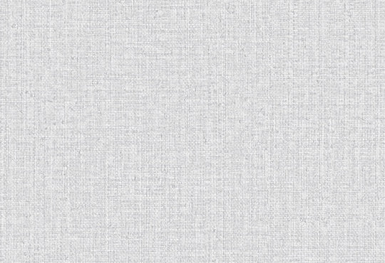 HookedOnWalls Passe Partout 2025 Tone on Tone Tone on Tone behang 4513Afbeelding 1