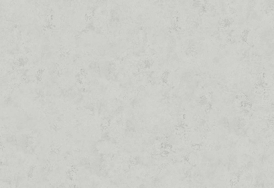 HookedOnWalls Passe Partout 2025 Tone on Tone Tone on Tone behang 4519Afbeelding 1