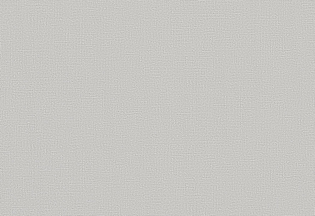 HookedOnWalls Passe Partout 2025 Tone on Tone Tone on Tone behang 4516Afbeelding 1