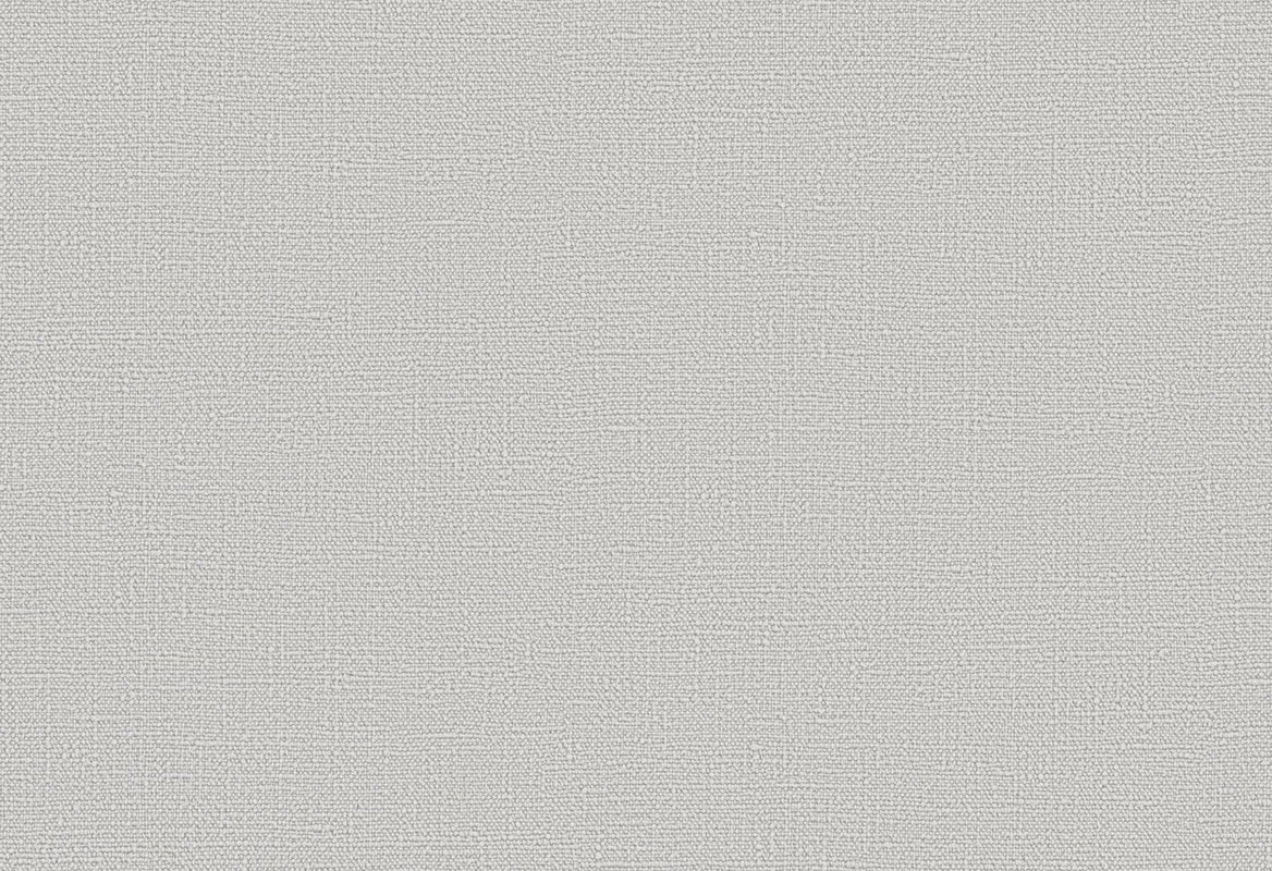 HookedOnWalls Passe Partout 2025 Tone on Tone Tone on Tone behang 4516Afbeelding 1