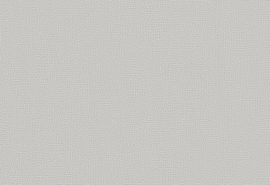 HookedOnWalls Passe Partout 2025 Tone on Tone Tone on Tone behang 4516Afbeelding 1