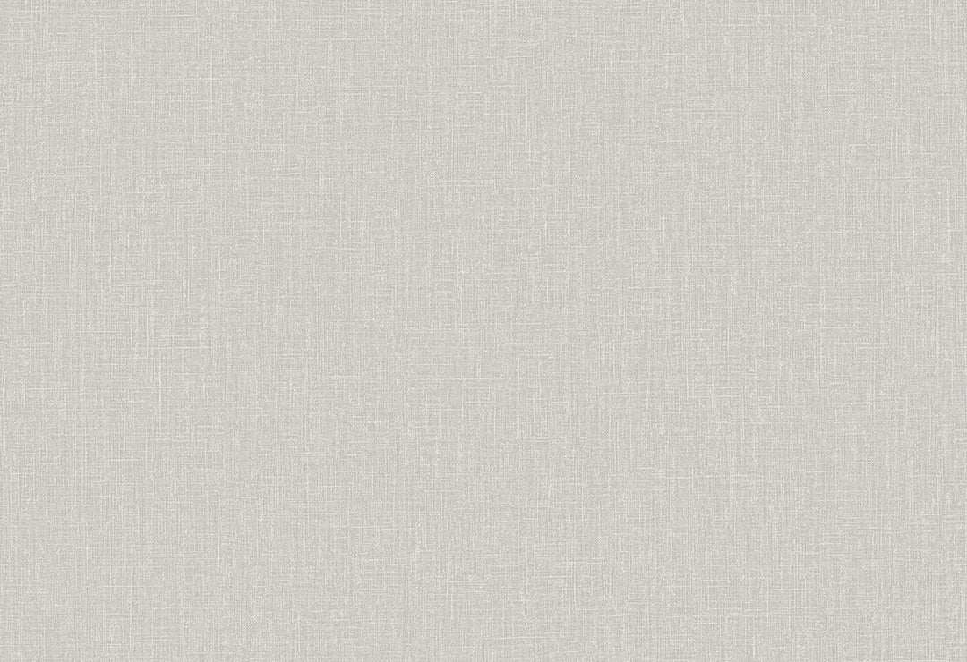 HookedOnWalls Passe Partout 2025 Tone on Tone Tone on Tone behang 4514Afbeelding 1