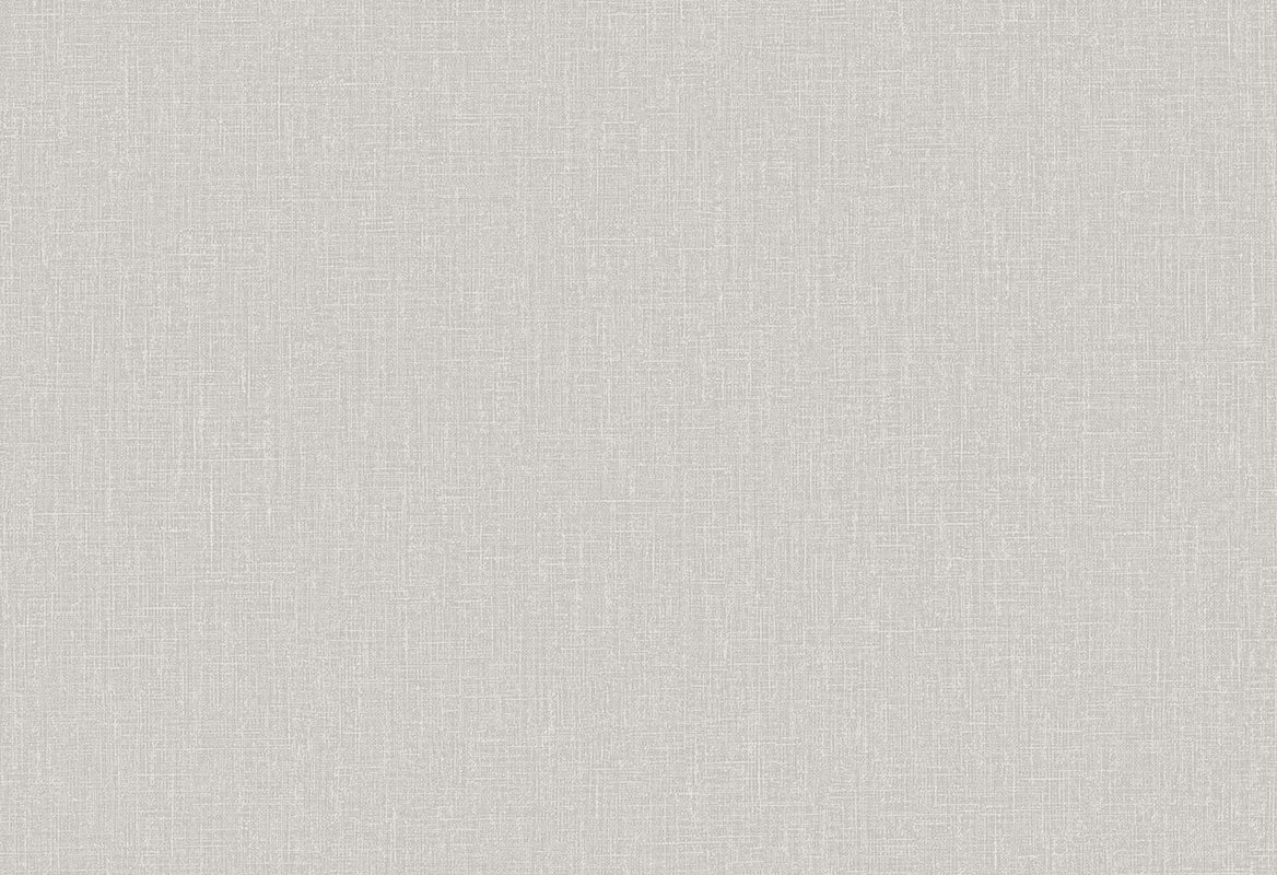 HookedOnWalls Passe Partout 2025 Tone on Tone Tone on Tone behang 4514Afbeelding 1