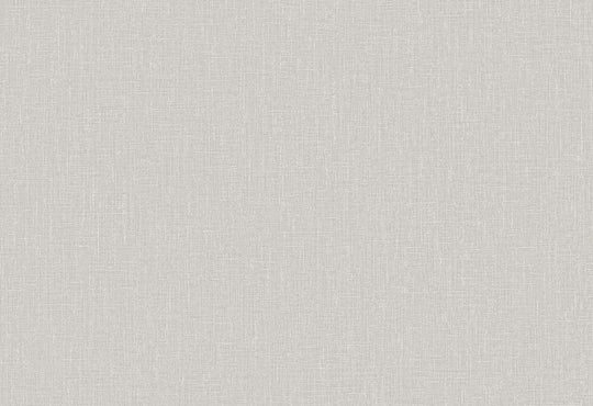 HookedOnWalls Passe Partout 2025 Tone on Tone Tone on Tone behang 4514Afbeelding 1