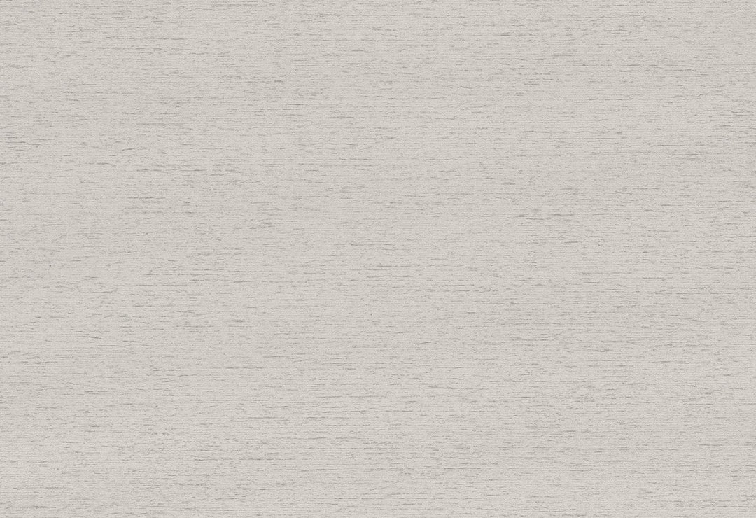 HookedOnWalls Passe Partout 2025 Tone on Tone Tone on Tone behang 4518Afbeelding 1