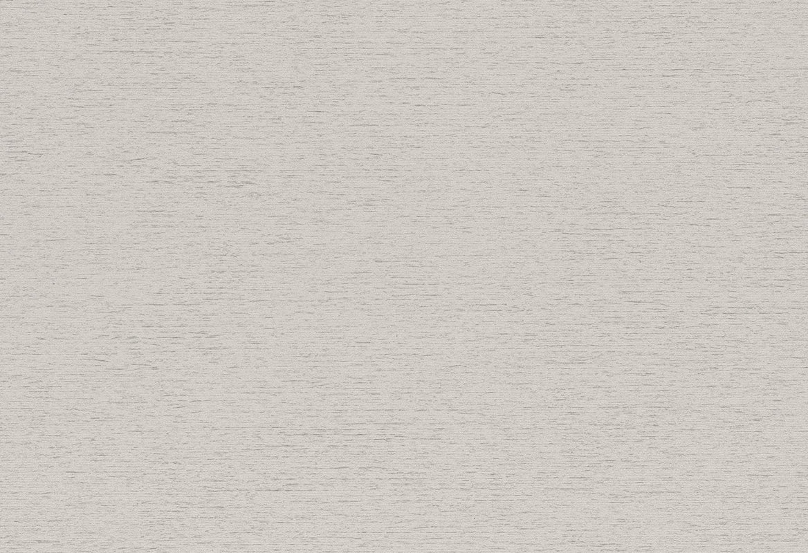 HookedOnWalls Passe Partout 2025 Tone on Tone Tone on Tone behang 4518Afbeelding 1