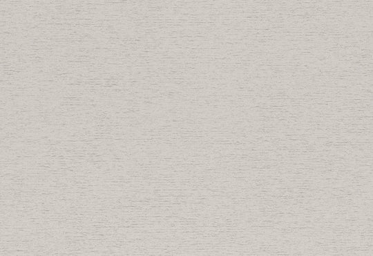 HookedOnWalls Passe Partout 2025 Tone on Tone Tone on Tone behang 4518Afbeelding 1