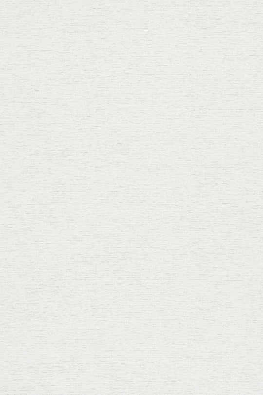 HookedOnWalls Passe Partout 2025 Tone on Tone Tone on Tone behang 4511Afbeelding 3