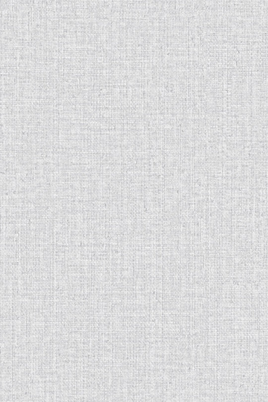 HookedOnWalls Passe Partout 2025 Tone on Tone Tone on Tone behang 4513Afbeelding 3