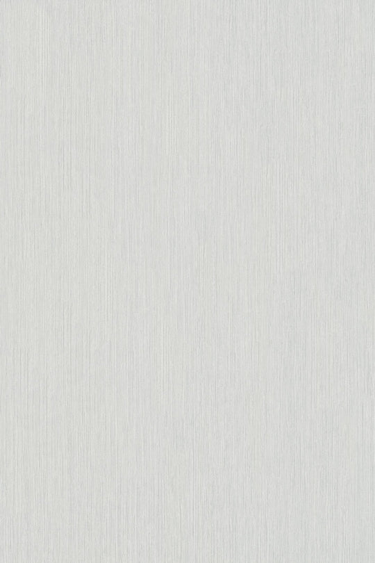 HookedOnWalls Passe Partout 2025 Tone on Tone Tone on Tone behang 4517Afbeelding 3