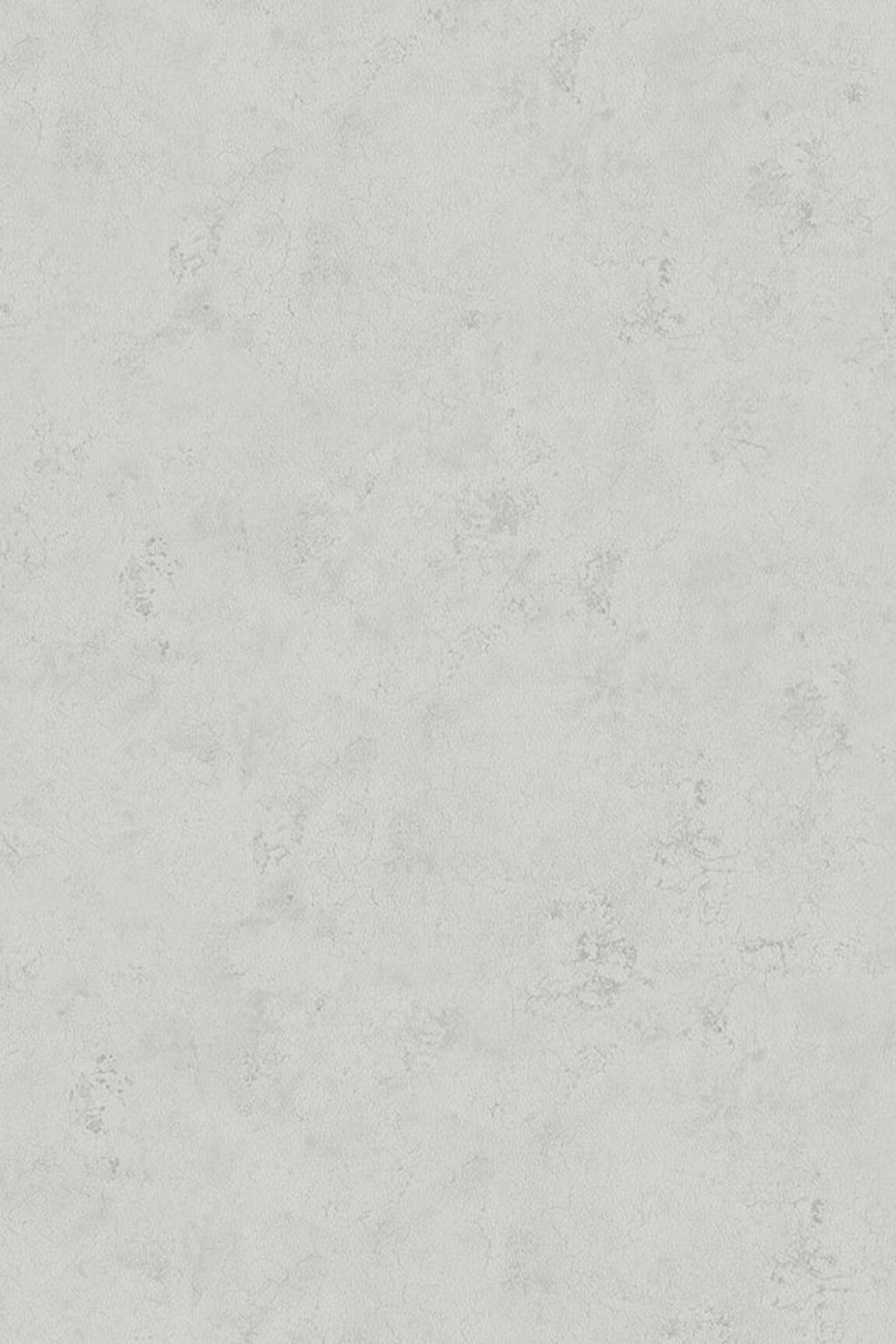 HookedOnWalls Passe Partout 2025 Tone on Tone Tone on Tone behang 4519Afbeelding 3