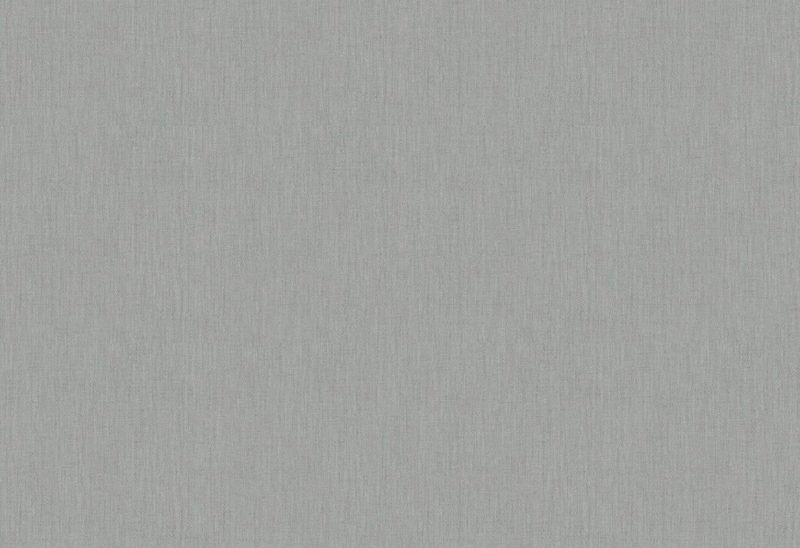 HookedOnWalls Passe Partout 2025 Tone on Tone Tone on Tone behang 4521Afbeelding 1